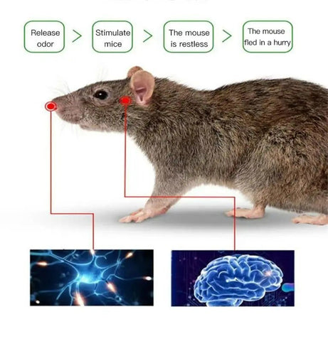 Rodent and insect repellent sphere